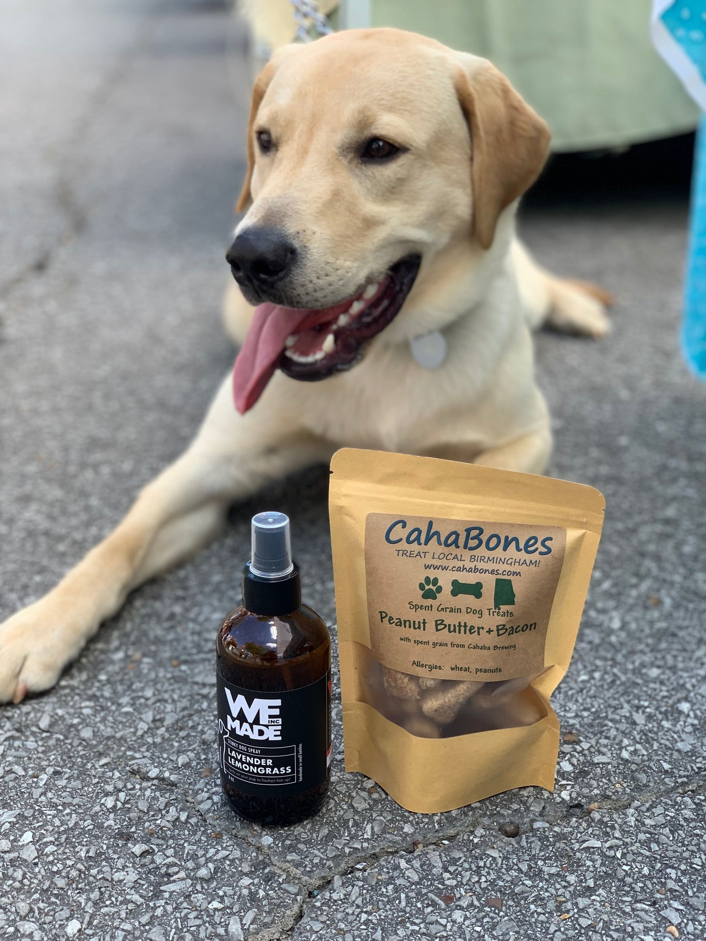 Stinky Dog Spray